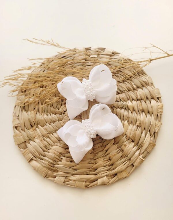 Par Carol duplo organza com bordado